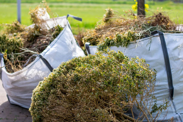 Recycling Services for Junk in Port Carbon, PA